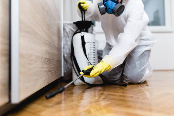 Best Affordable Pest Control Services  in Saticoy, CA