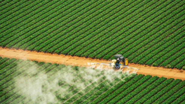 Best Pest Removal Services  in Saticoy, CA