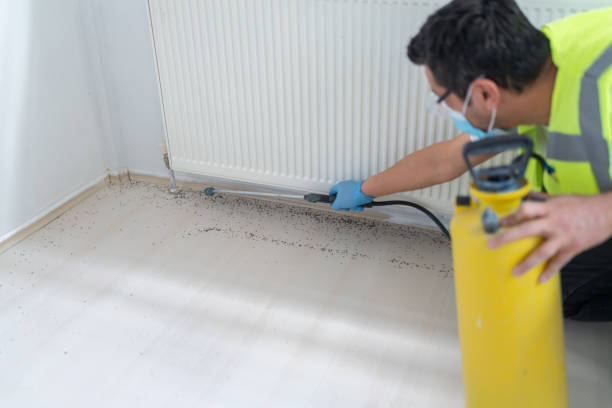 Best Bed Bug Extermination  in Saticoy, CA